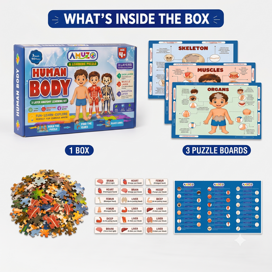 Amuzo Human Body Learning Puzzle