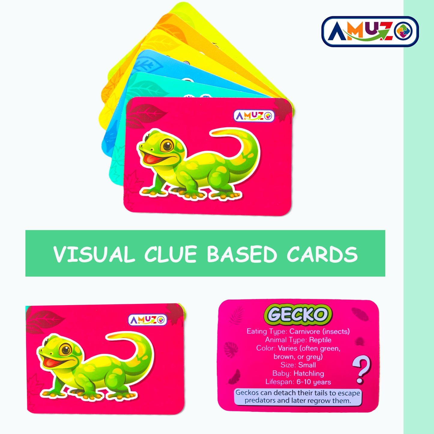 Animal World – Learn 72 animals | Puzzle, flash cards and timer