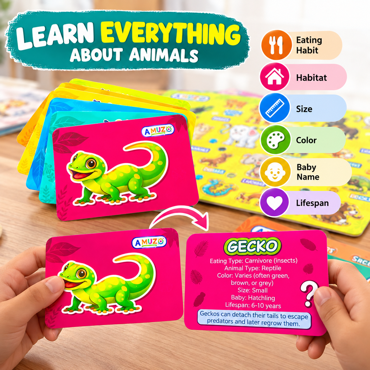 Animal World – Learn 72 animals | Puzzle, flash cards and timer